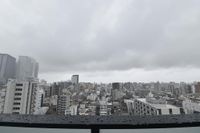 展望