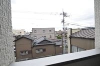 展望