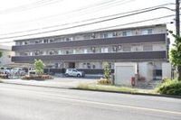 南東向きの建物です