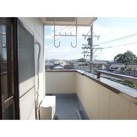 展望