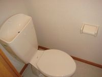 トイレはシンプルなタイプです