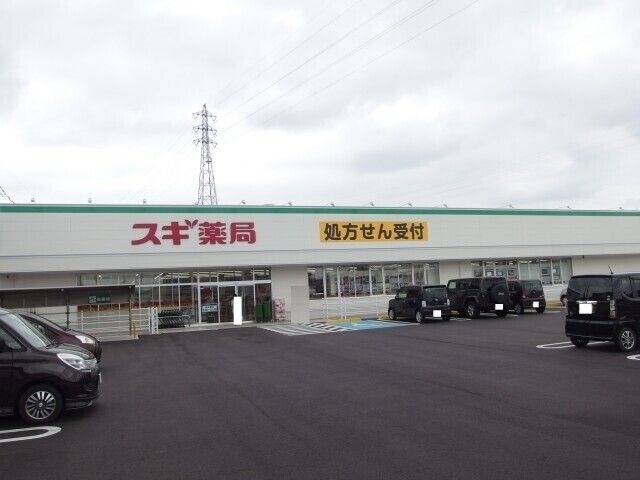 写真：スギ薬局東大友店