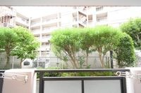 展望