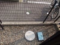 専用庭