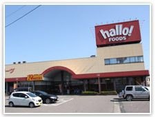 写真：ハローフーヅ太田店