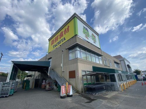 タチヤ多治見店