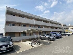 アンプルールフェールオロールの外観