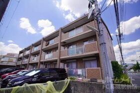 アムールカセイの外観