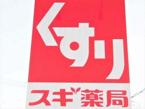スギ薬局大垣市民病院前店