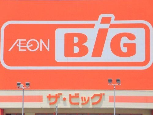 ザ・ビッグ輪之内店