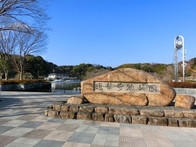 蓮華寺池公園
