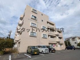 御前崎市池新田の外観