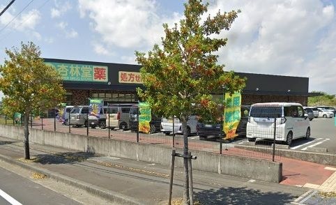 杏林堂スーパードラッグストア 袋井下山梨店