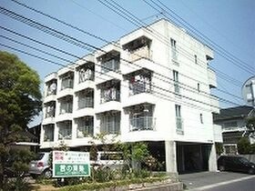 セフィーロの外観