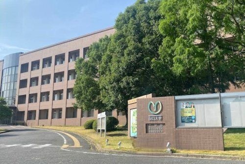 山口大学工学部