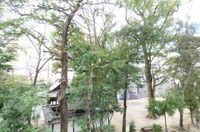 展望