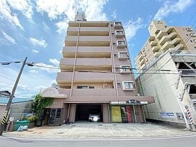 アモール高針の外観