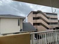 展望