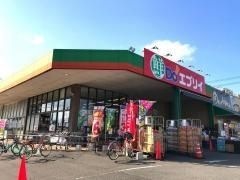 業務スーパー エブリイ福山本庄店