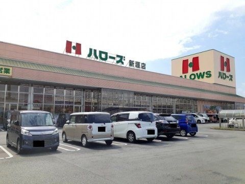 ハローズ 新涯店