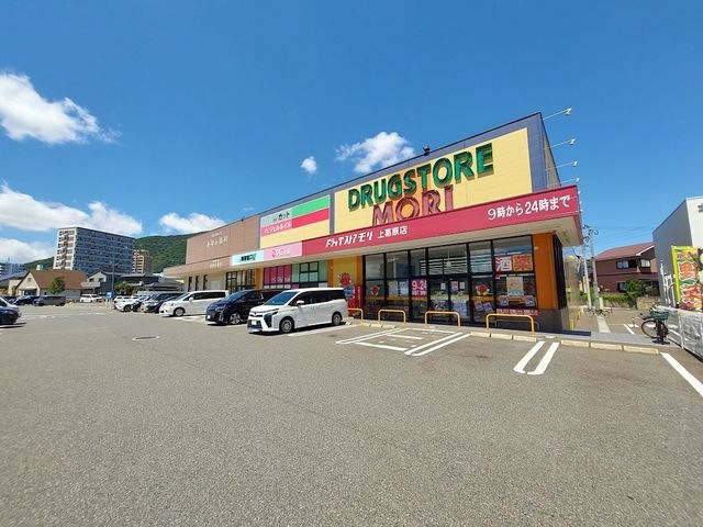 ドラッグストアモリ 上葛原店