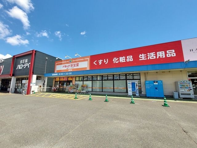 ドラッグ新生堂 横代店