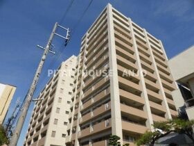 ライオンズステーションプラザ安城の外観