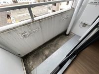 参考写真304