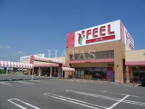 フィール アエル店