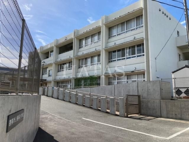 碧南市立棚尾小学校