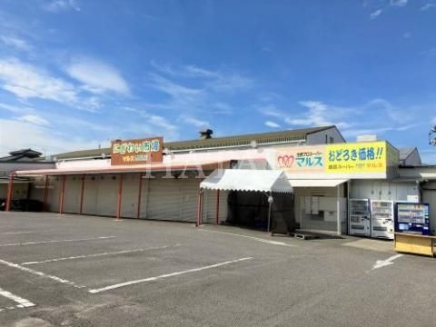 写真：マルス　西尾店