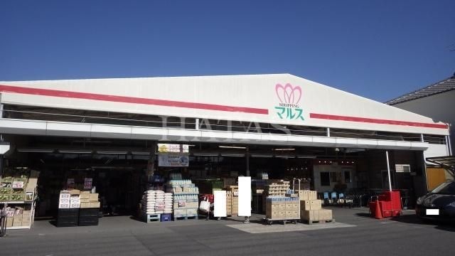 ショッピングマルス 本店