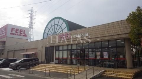 フィール キャンパス