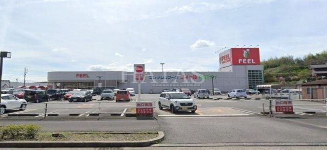 フィールアストリー