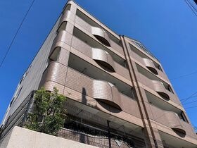 マクセージの外観