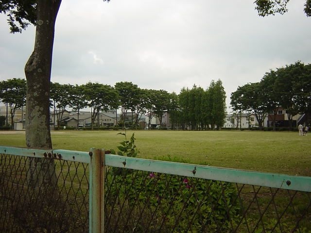 写真：公園礼通