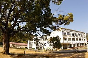 写真：柏原中学校