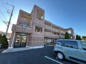 コンテントの外観