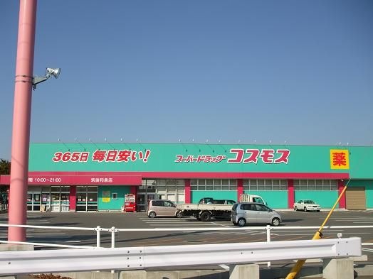 コスモス
