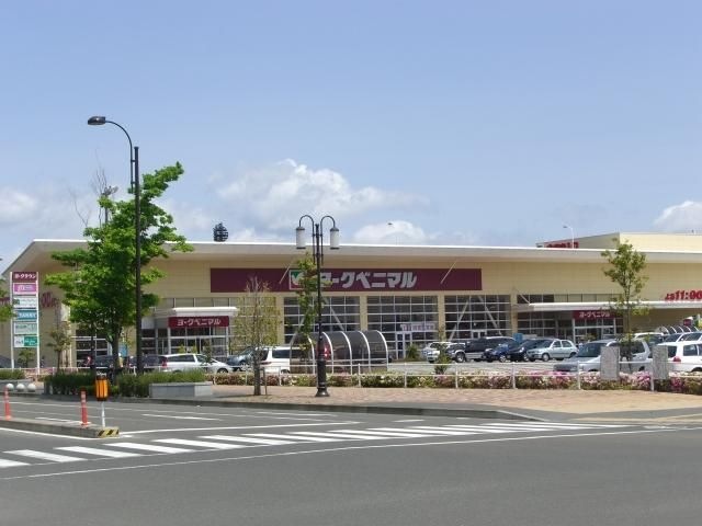 ヨークベニマル新田東(スーパー)