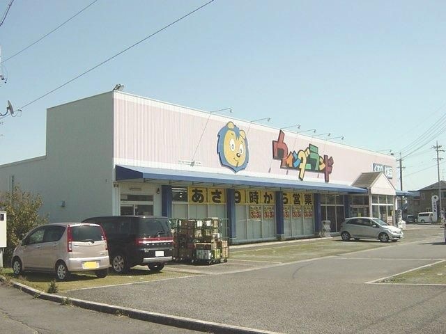ウィンダーランド(ドラッグストア)