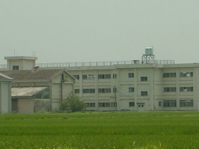 泉小学校