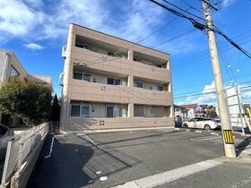 ティアリーダイアモンドの外観