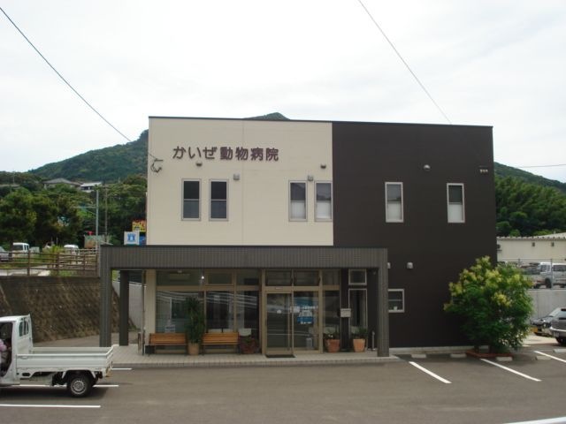 かいぜ動物病院