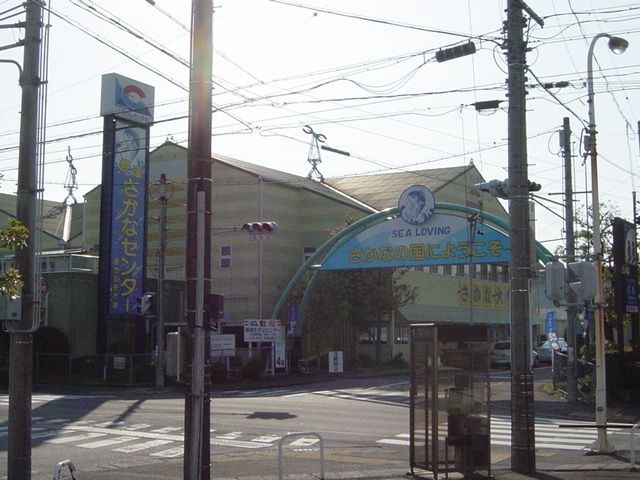 写真:焼津さかなセンター(魚卸売市場)