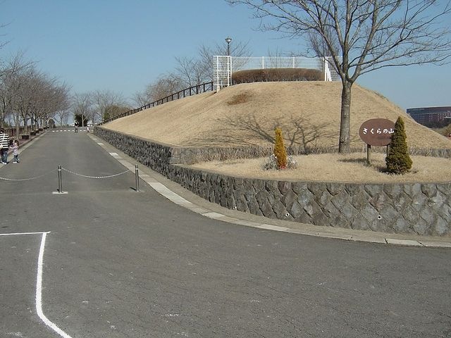写真：さくらの山公園