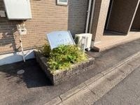 外観写真(昼)
