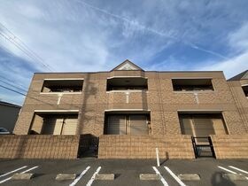 アンプルールの外観