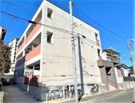 Poinsettiaの外観