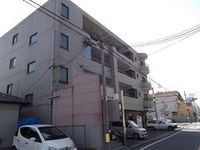 同型タイプ